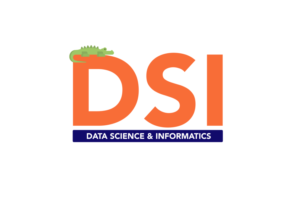 DSI logo